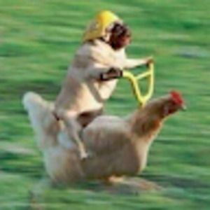 Meet your Posher, Eric